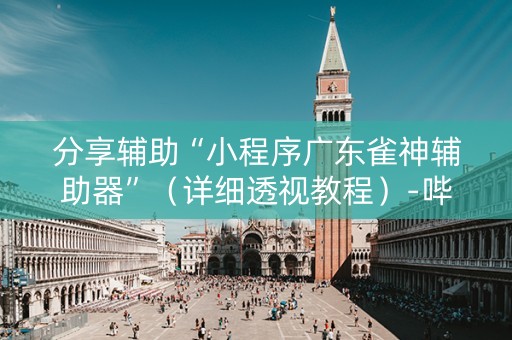 分享辅助“小程序广东雀神辅助器”（详细透视教程）-哔哩哔哩