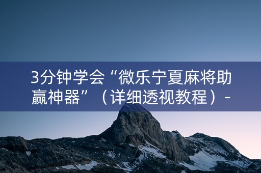 3分钟学会“微乐宁夏麻将助赢神器”（详细透视教程）-哔哩哔哩
