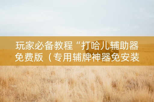 玩家必备教程“打哈儿辅助器免费版（专用辅牌神器免安装）