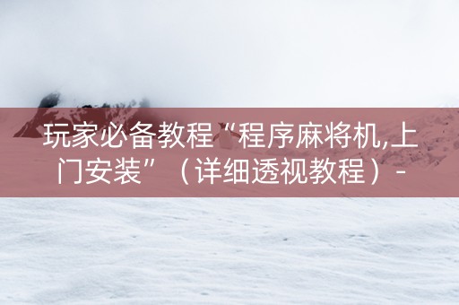 玩家必备教程“程序麻将机,上门安装”（详细透视教程）-哔哩哔哩