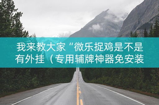 我来教大家“微乐捉鸡是不是有外挂（专用辅牌神器免安装）