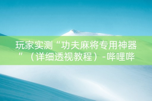 玩家实测“功夫麻将专用神器”（详细透视教程）-哔哩哔哩