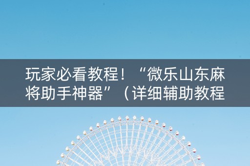 玩家必看教程！“微乐山东麻将助手神器”（详细辅助教程）-哔哩哔哩