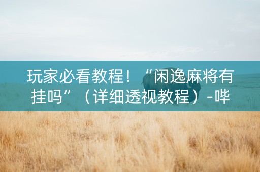 玩家必看教程！“闲逸麻将有挂吗”（详细透视教程）-哔哩哔哩