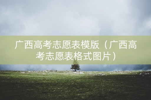 广西高考志愿表模版（广西高考志愿表格式图片）