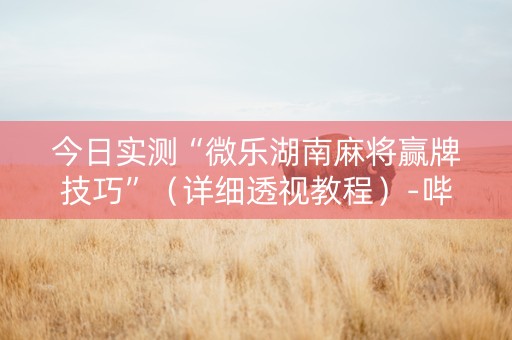 今日实测“微乐湖南麻将赢牌技巧”（详细透视教程）-哔哩哔哩