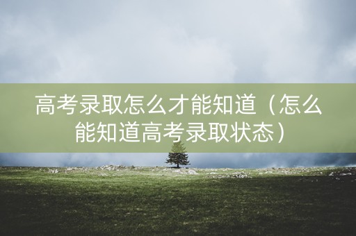 高考录取怎么才能知道（怎么能知道高考录取状态）