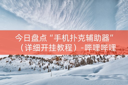 今日盘点“手机扑克辅助器”（详细开挂教程）-哔哩哔哩