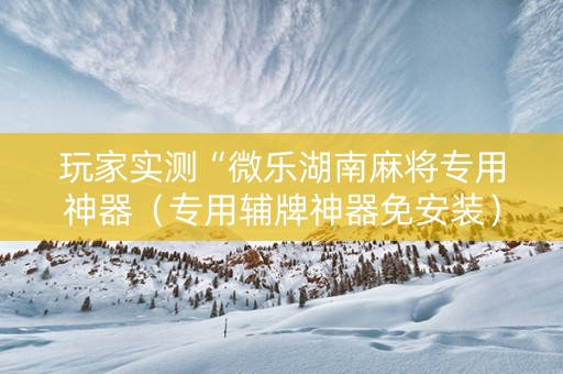 玩家实测“微乐湖南麻将专用神器（专用辅牌神器免安装）