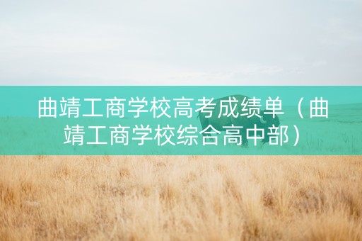 曲靖工商学校高考成绩单（曲靖工商学校综合高中部）