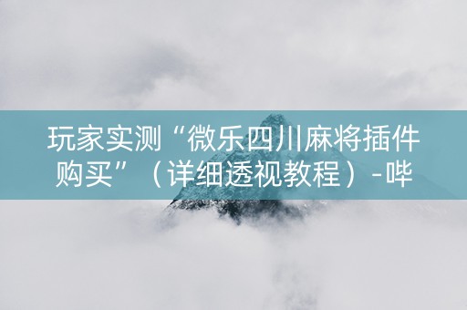玩家实测“微乐四川麻将插件购买”（详细透视教程）-哔哩哔哩