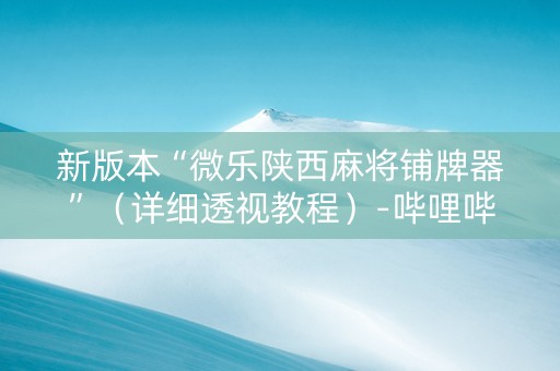 新版本“微乐陕西麻将铺牌器”（详细透视教程）-哔哩哔哩