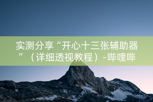 实测分享“开心十三张辅助器”（详细透视教程）-哔哩哔哩