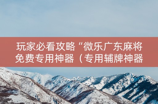 玩家必看攻略“微乐广东麻将免费专用神器（专用辅牌神器免安装）