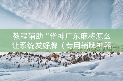 教程辅助“雀神广东麻将怎么让系统发好牌（专用辅牌神器免安装）