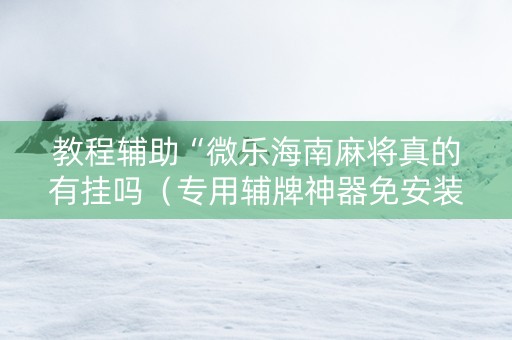 教程辅助“微乐海南麻将真的有挂吗（专用辅牌神器免安装）