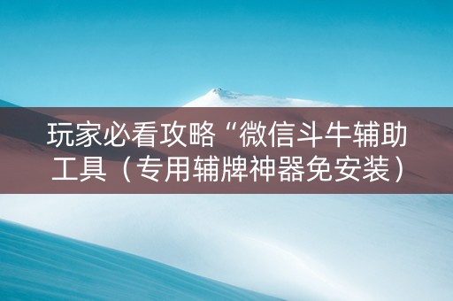 玩家必看攻略“微信斗牛辅助工具（专用辅牌神器免安装）