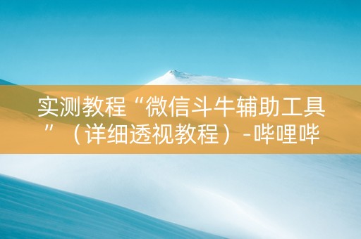 实测教程“微信斗牛辅助工具”（详细透视教程）-哔哩哔哩