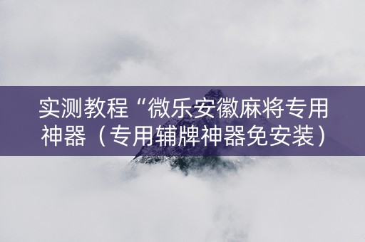 实测教程“微乐安徽麻将专用神器（专用辅牌神器免安装）