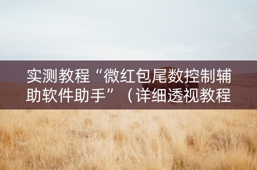 实测教程“微红包尾数控制辅助软件助手”（详细透视教程）-哔哩哔哩
