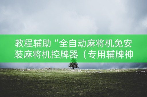 教程辅助“全自动麻将机免安装麻将机控牌器（专用辅牌神器免安装）