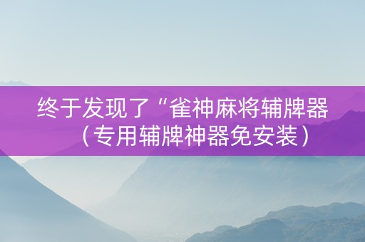 终于发现了“雀神麻将辅牌器（专用辅牌神器免安装）