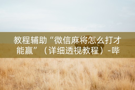 教程辅助“微信麻将怎么打才能赢”（详细透视教程）-哔哩哔哩