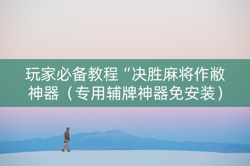 玩家必备教程“决胜麻将作敝神器（专用辅牌神器免安装）