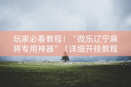 玩家必看教程！“微乐辽宁麻将专用神器”（详细开挂教程）-哔哩哔哩