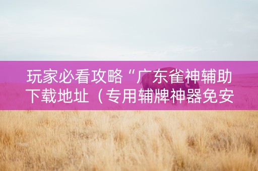 玩家必看攻略“广东雀神辅助下载地址（专用辅牌神器免安装）