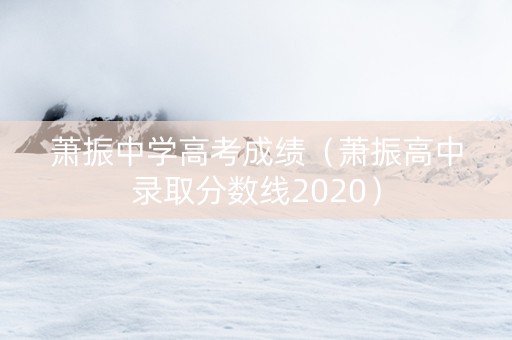 萧振中学高考成绩（萧振高中录取分数线2020）