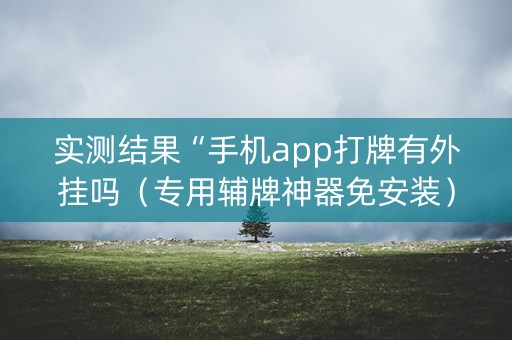 实测结果“手机app打牌有外挂吗（专用辅牌神器免安装）