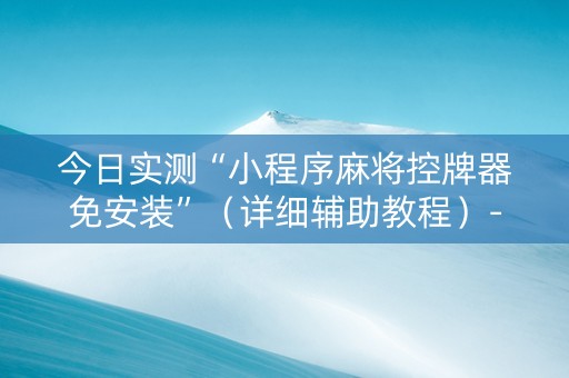 今日实测“小程序麻将控牌器免安装”（详细辅助教程）-哔哩哔哩