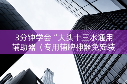 3分钟学会“大头十三水通用辅助器（专用辅牌神器免安装）