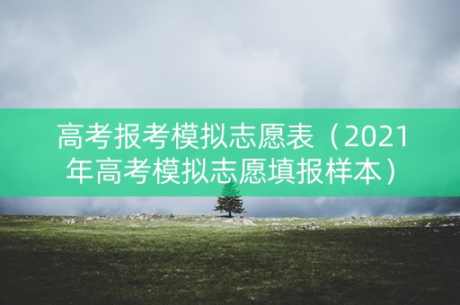 高考报考模拟志愿表（2021年高考模拟志愿填报样本）