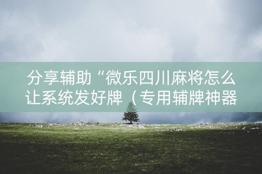 分享辅助“微乐四川麻将怎么让系统发好牌（专用辅牌神器免安装）