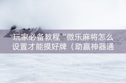 玩家必备教程“微乐麻将怎么设置才能摸好牌（助赢神器通用版）