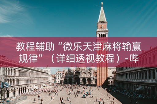 教程辅助“微乐天津麻将输赢规律”（详细透视教程）-哔哩哔哩