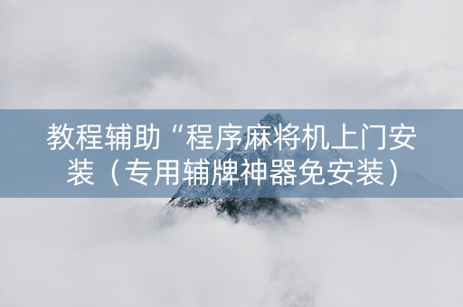教程辅助“程序麻将机上门安装（专用辅牌神器免安装）