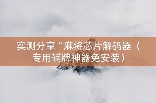 实测分享“麻将芯片解码器（专用辅牌神器免安装）