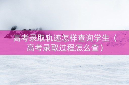 高考录取轨迹怎样查询学生（高考录取过程怎么查）