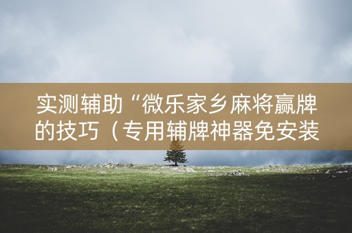 实测辅助“微乐家乡麻将赢牌的技巧（专用辅牌神器免安装）