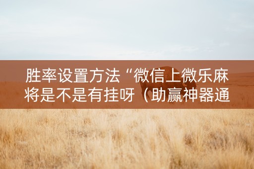 胜率设置方法“微信上微乐麻将是不是有挂呀（助赢神器通用版）