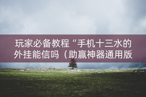玩家必备教程“手机十三水的外挂能信吗（助赢神器通用版）