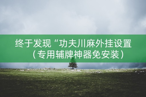 终于发现“功夫川麻外挂设置（专用辅牌神器免安装）