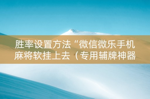 胜率设置方法“微信微乐手机麻将软挂上去（专用辅牌神器免安装）
