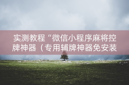 实测教程“微信小程序麻将控牌神器（专用辅牌神器免安装）