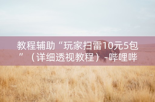 教程辅助“玩家扫雷10元5包”（详细透视教程）-哔哩哔哩