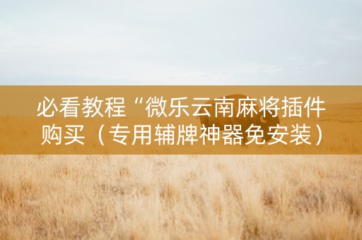 必看教程“微乐云南麻将插件购买（专用辅牌神器免安装）