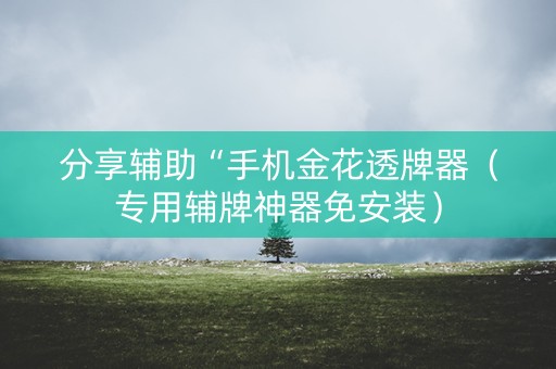分享辅助“手机金花透牌器（专用辅牌神器免安装）